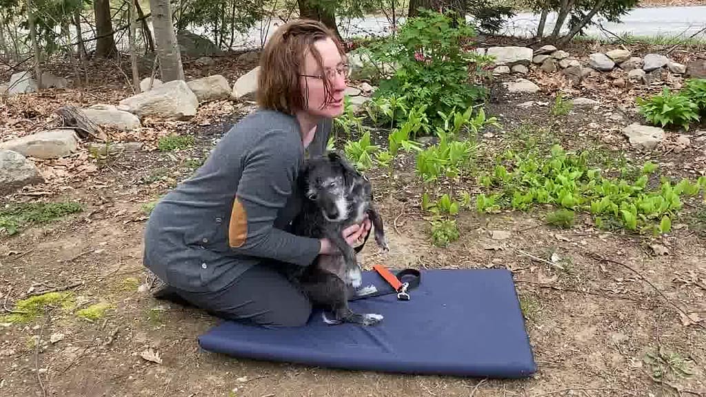 massage a dog poop instantly