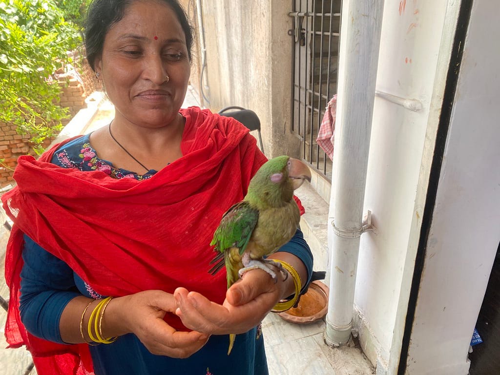 parrot one eye closed
