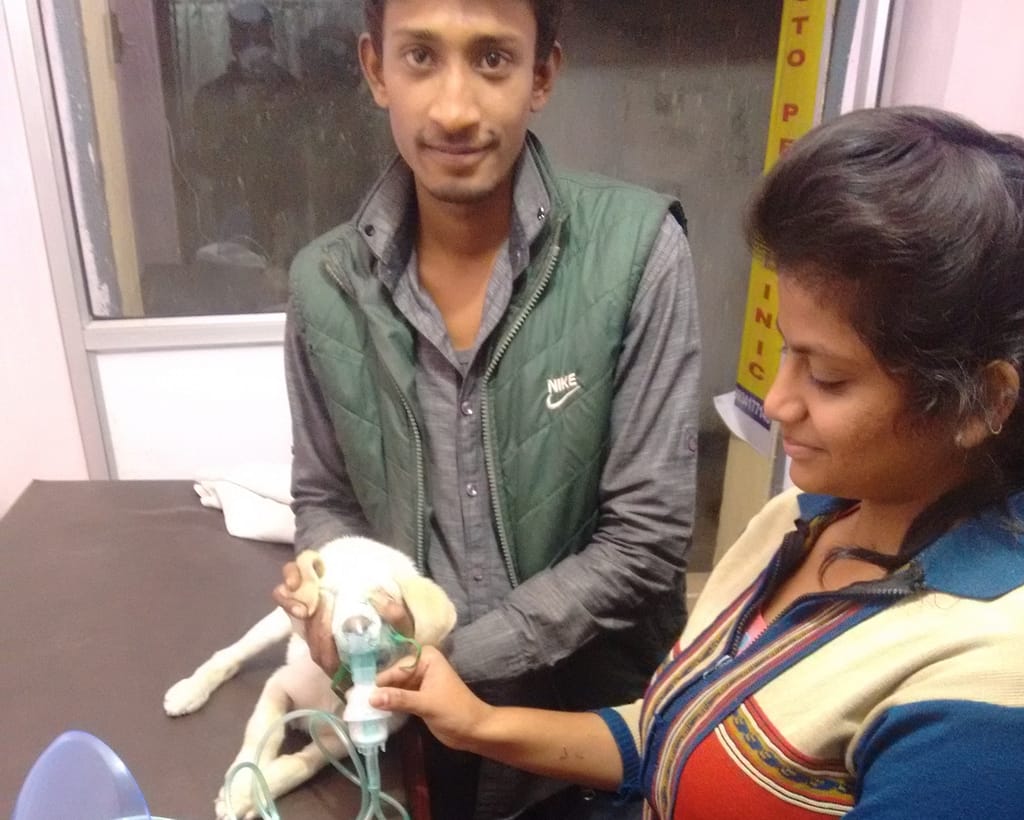 Pluto Pet Clinic, Ranchi