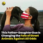 Show me the place where I can adopt a dog for free streetdogsofranchi