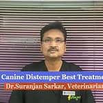 🐶 Saving Lives Before It's Too Late: How Dr. Suranjan Sarkar is Fighting Canine Distemper in Ranchi canine distemper video