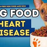 🐾 Grain-Free Diets and Canine Heart Disease: What Every Dog Owner Needs to Know dcm
