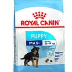 ๐ถ Why Royal Canin Maxi Puppy Is Still the Best Choice for Dog Owners in 2025 Royal Canin maxi puppy