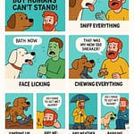 Things Human do and dogs hate Dog and Man
