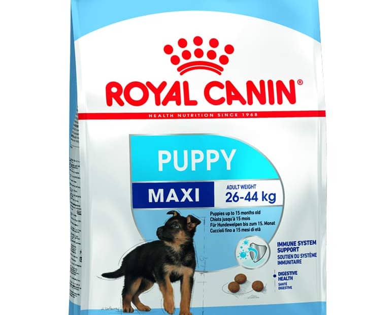 Royal Canin maxi puppy