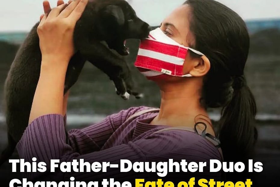 streetdogsofranchi