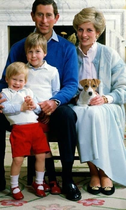 Jack Russell Terrier temperament